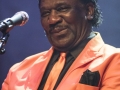 DSC3353
